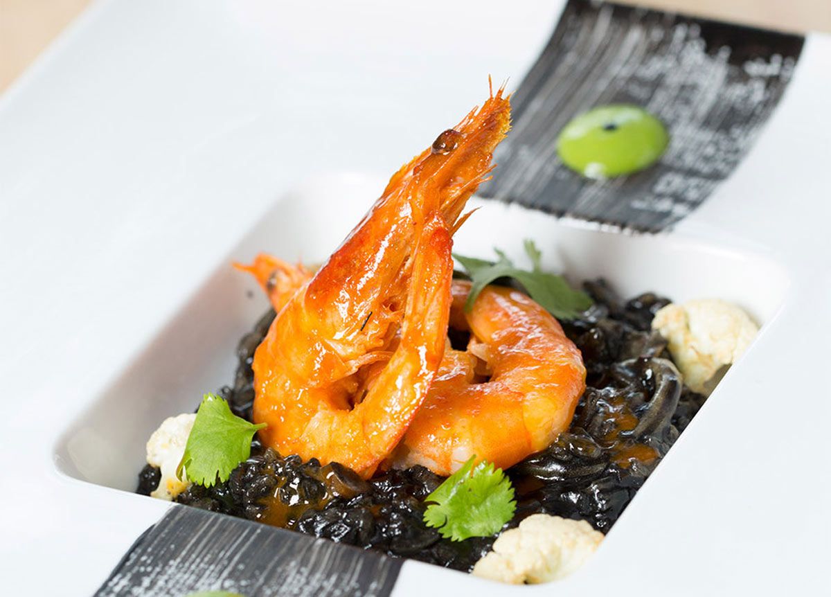 10.5" Square Wide Rim Mod® Bowl - 8 oz